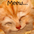 Meew...