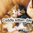 Cute Cuddle For You Dear.