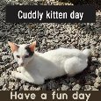 Cuddly Kitten Day, Sunny.