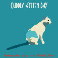 Cuddly Kitten Day, Cute.
