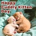 Warm Cuddly Kitten Day Wishes