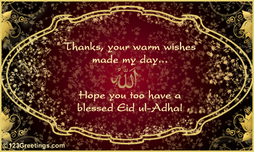 Thank For Eid ul-Adha Wishes...