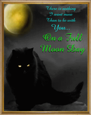 Full Moon Day Card.