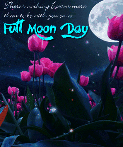Full Moon Day Ecard For You.