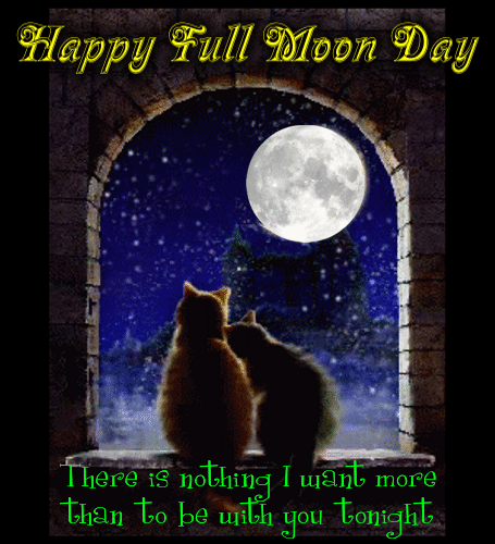 A Cute And Romantic Full Moon Day.