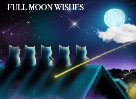 A Full Moon Day Wish Card For You.