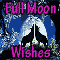 Full Moon Wishes!
