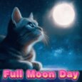 Gazing At The Full Moon.