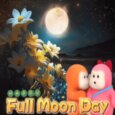 Love You Like The Moon Loves...