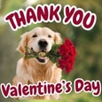 Thank Ur Loved Ones For Valentine Wish.