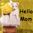 Hello Mom!