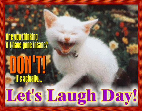 A Laughing Cat!