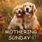 With Love %26 Hugs On Mothering Sunday.