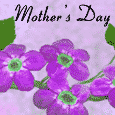 An Amazing Mom...