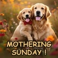 With Love & Hugs On Mothering Sunday.