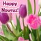 My Best Nowruz Wishes.
