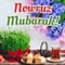 Nowruz Mubarak Wishes!