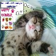 Kitty Wishes A Happy Nowruz!