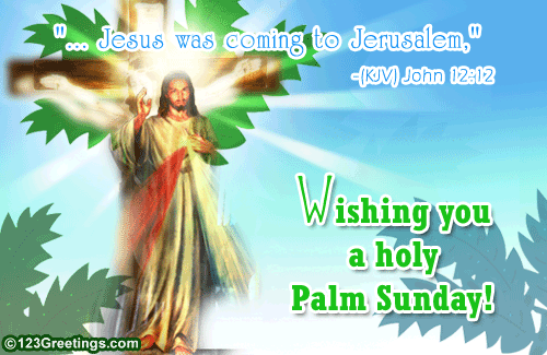 A Holy Palm Sunday!