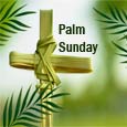 Holy Wishes On Palm Sunday!
