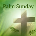 A Wish On Holy Palm Sunday!