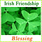 Irish Friendship Blessing...