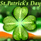 Paddy's Day Lucky Clover Blessings!