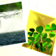 Blessings Of St. Patrick...