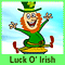 St. Pat's Day Luck Of The Irish Card!