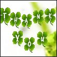 Thanks For Your Irish Blessings.