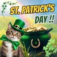 Lucky Wishes On St. Patrick’s Day!