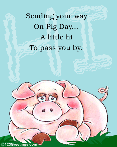 A Piggy Hello!