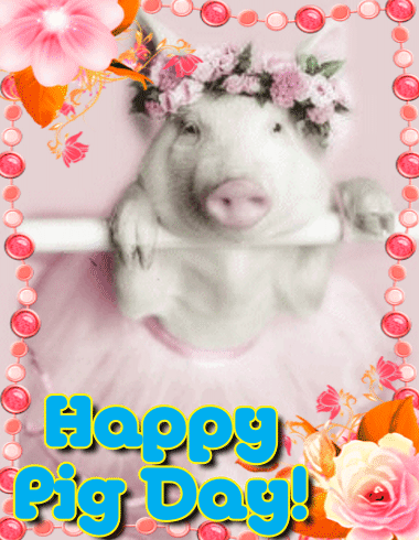 A Cute Piggy On Pig Day!