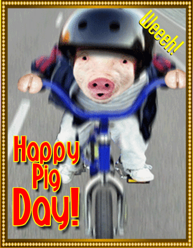 Pig On Bike!