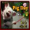 A Cute Pig Day Card For Everyone.