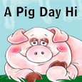 A Piggy Hello!