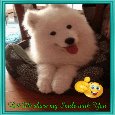 Share A Smile Day Card For You.