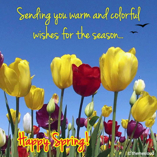Warm & Colorful Wishes For Spring!