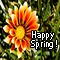Have A Great Spring.