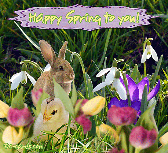 Happy Spring Bunny.