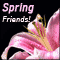 A Spring Friendship Ecard!