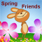 Spring Hug For Your Friend.