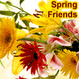Spring Bunch For Your Friend.