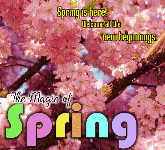 Spring Is Here!