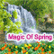 As Spring Arrives...