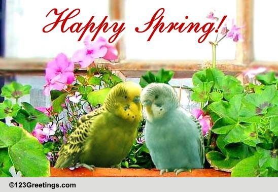 Send Spring Greetings!