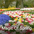 Magical Spring!