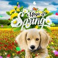 Magic Of Spring Ecard For You