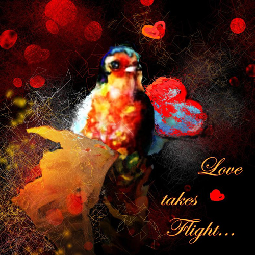 Love Takes Flight.