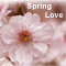 Spring Seems Eternal, Sweetheart!
